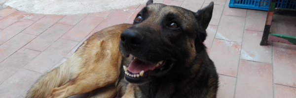 Coconats13 Profile Banner