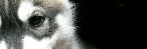 fabiolaesterr's profile banner image