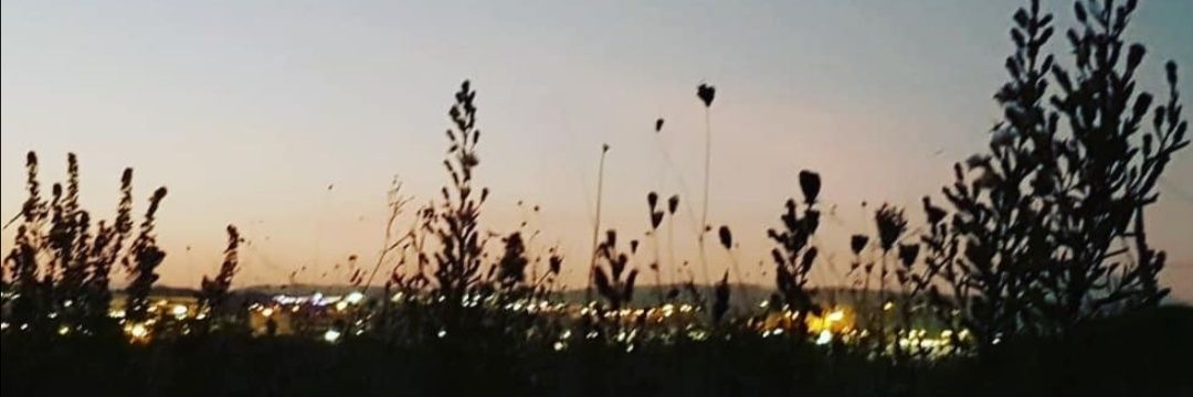 segoviagarrell's profile banner image