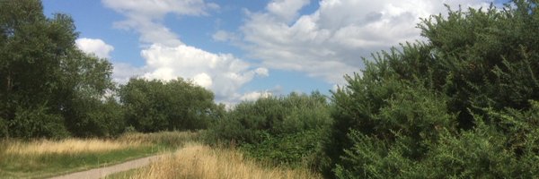 LadyManvers Profile Banner