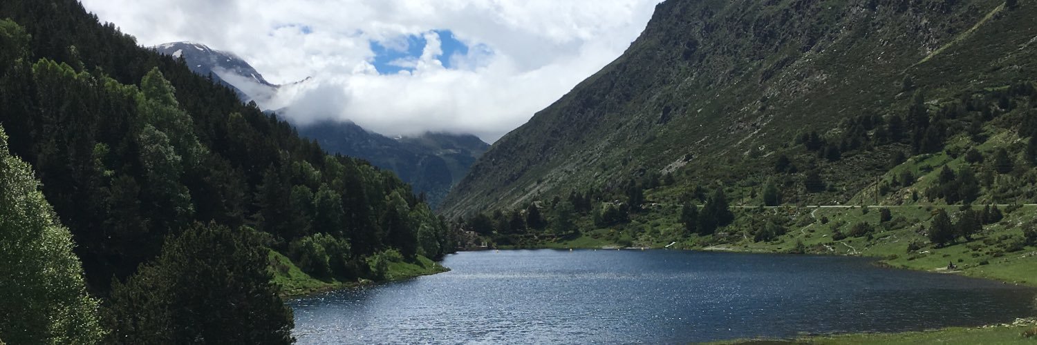 David Chivite banner