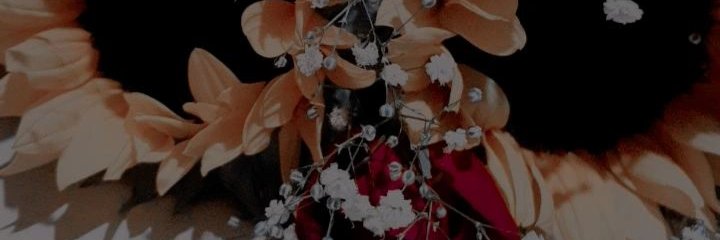 itzelsans01's profile banner image