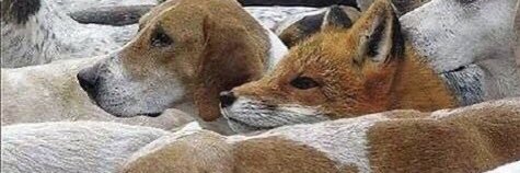 Flanman67's profile banner image