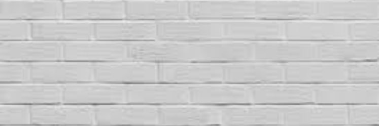 buildacellwall2's profile banner image