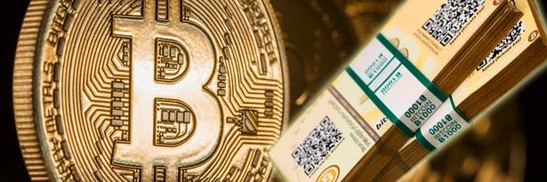 bitcoinkryptonion banner