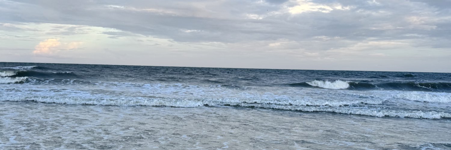 aliviaaaa3's profile banner image