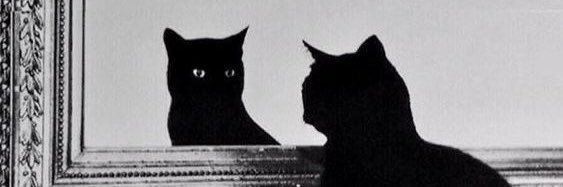 Qazaliish's profile banner image