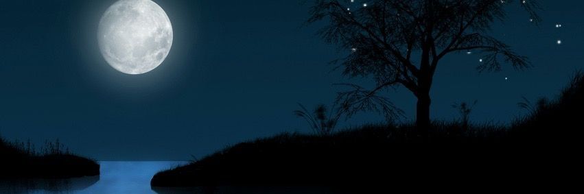 Otoniel Pérez banner