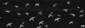 Wesleys_Smile's profile banner image