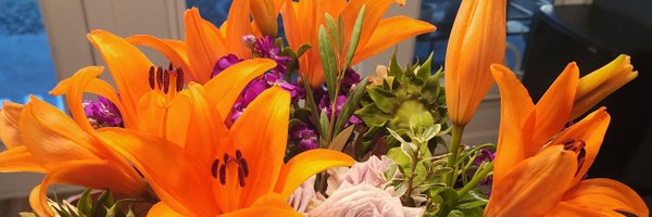 CordAragona Profile Banner