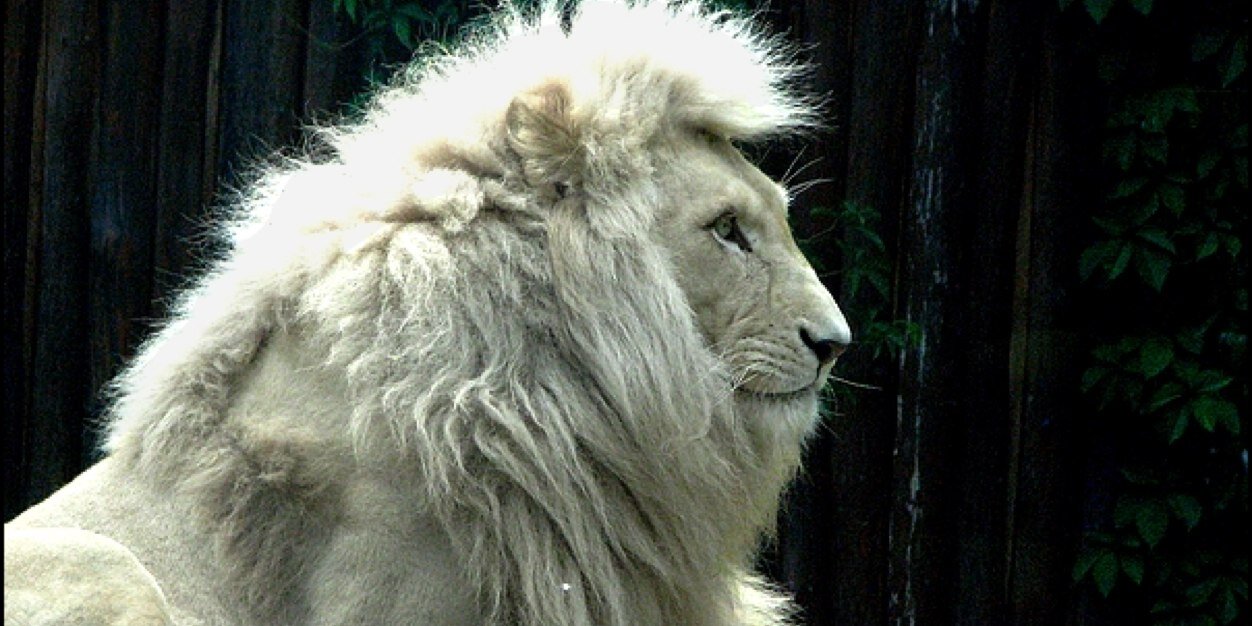 GaryAtLarge's profile banner image