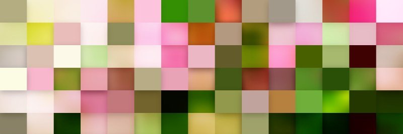 Rosalyn Pierce (she/her/hers) banner