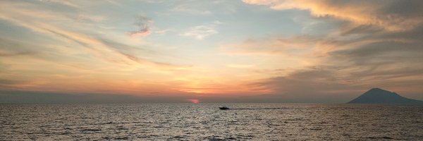 npindh Profile Banner