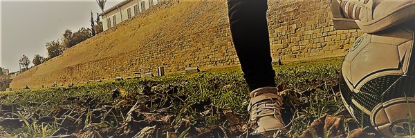 aformoloimenos Profile Banner