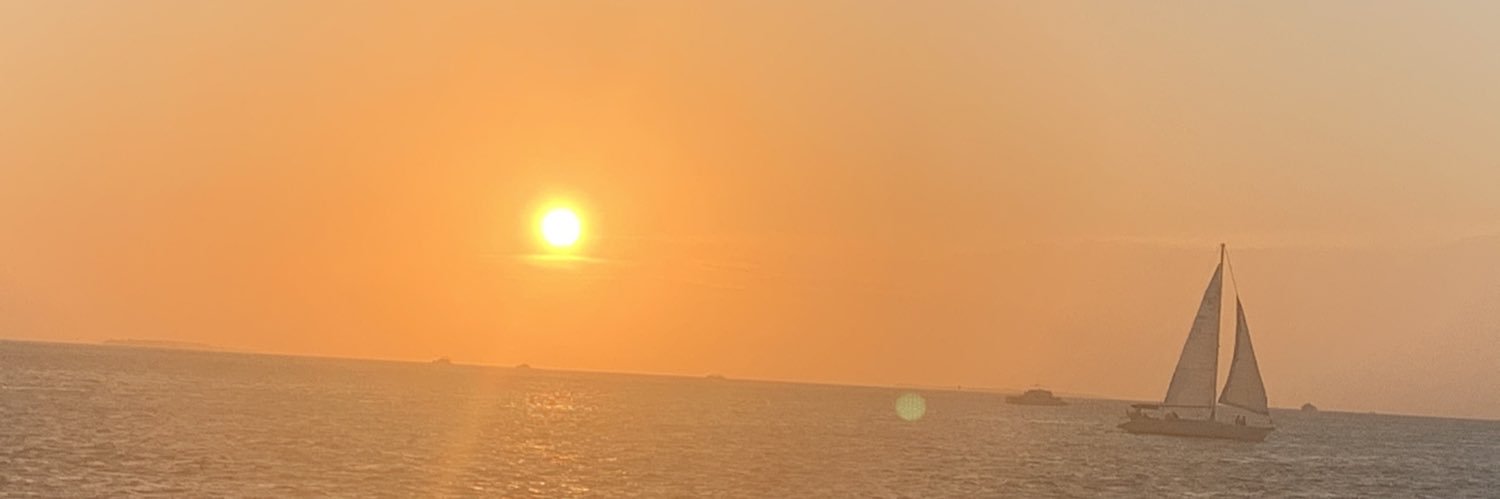 PicoMadrazo's profile banner image