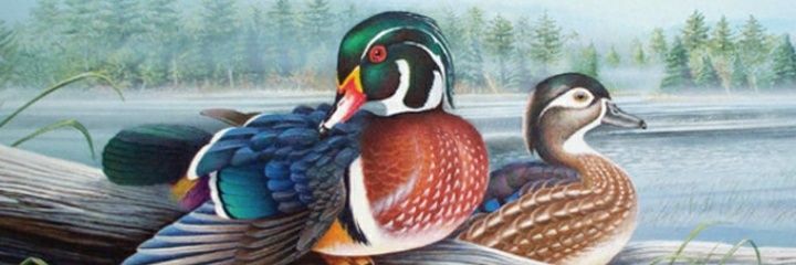 Farmor_teeo's profile banner image