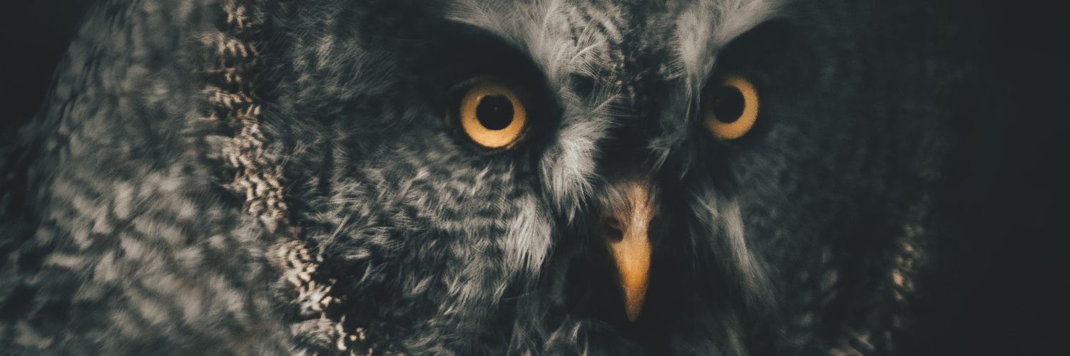 AgiPrayogo's profile banner image