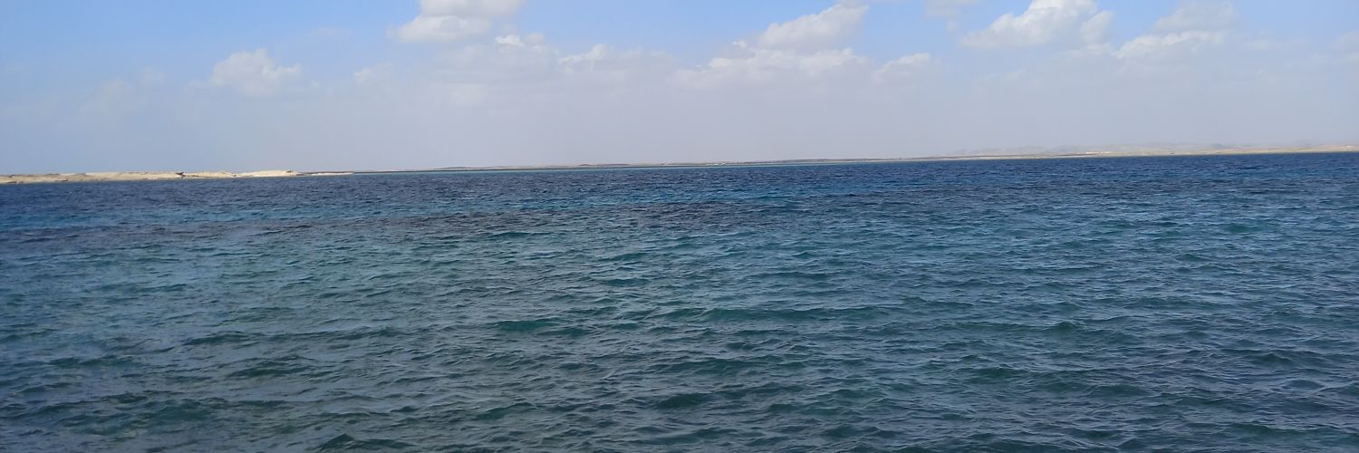 K8350P's profile banner image