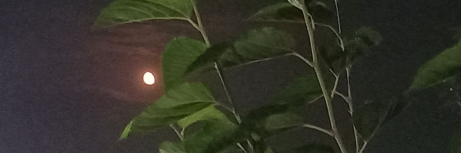 ماهک's banner