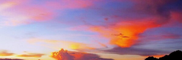 reenaabbasi Profile Banner