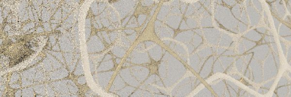 perceptnet Profile Banner