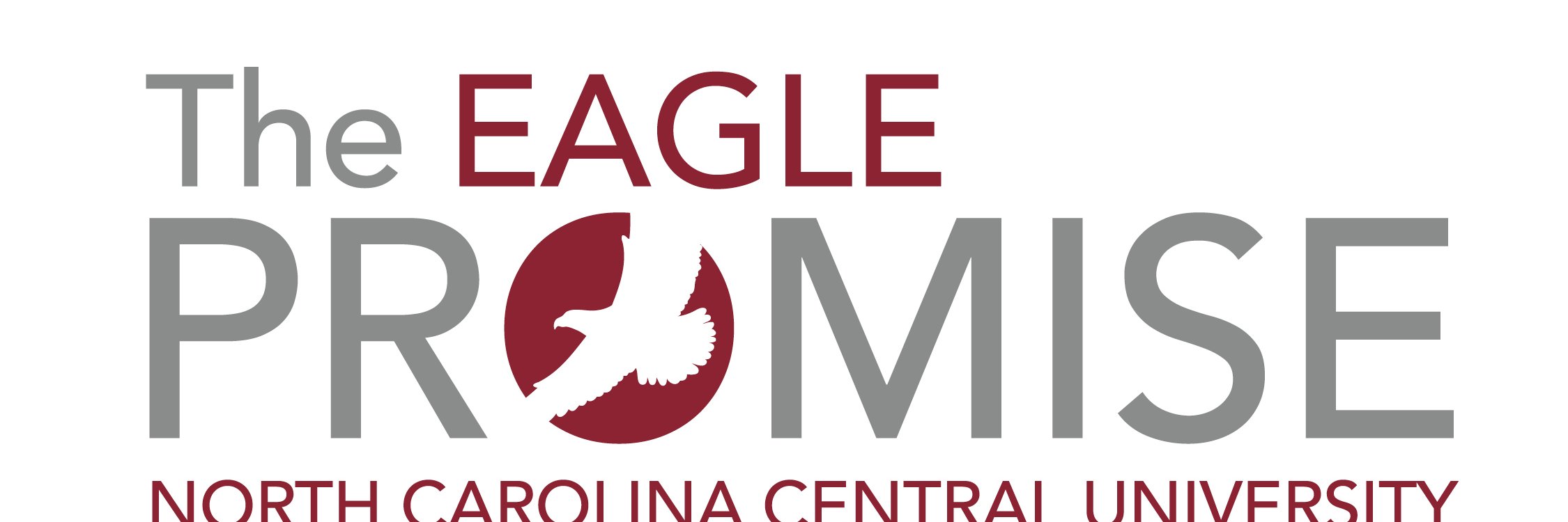 EagleInChief12's profile banner image