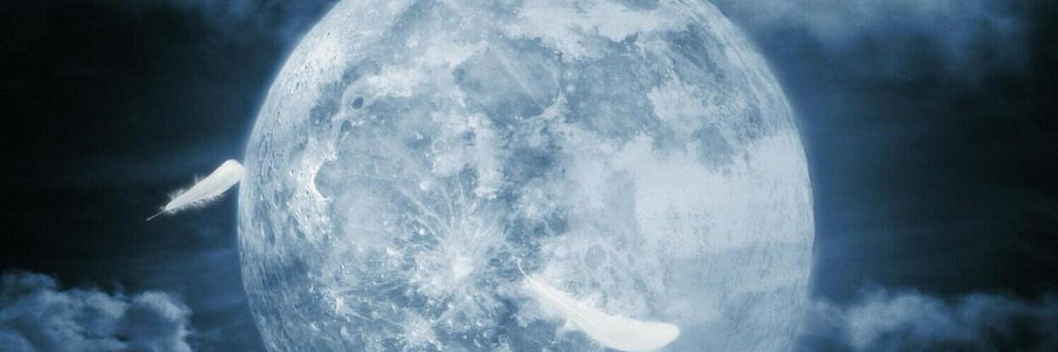 RoninS00's profile banner image