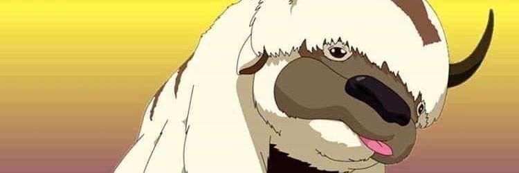 paigestopher's profile banner image