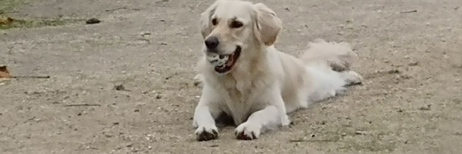 rayancrisbea's profile banner image