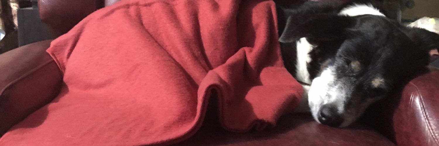 Carulinha's profile banner image