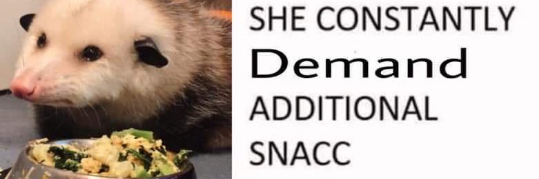 ladyfear's profile banner image