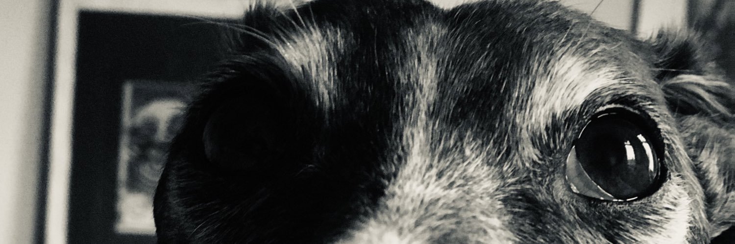 MazG 🦁🟦 banner