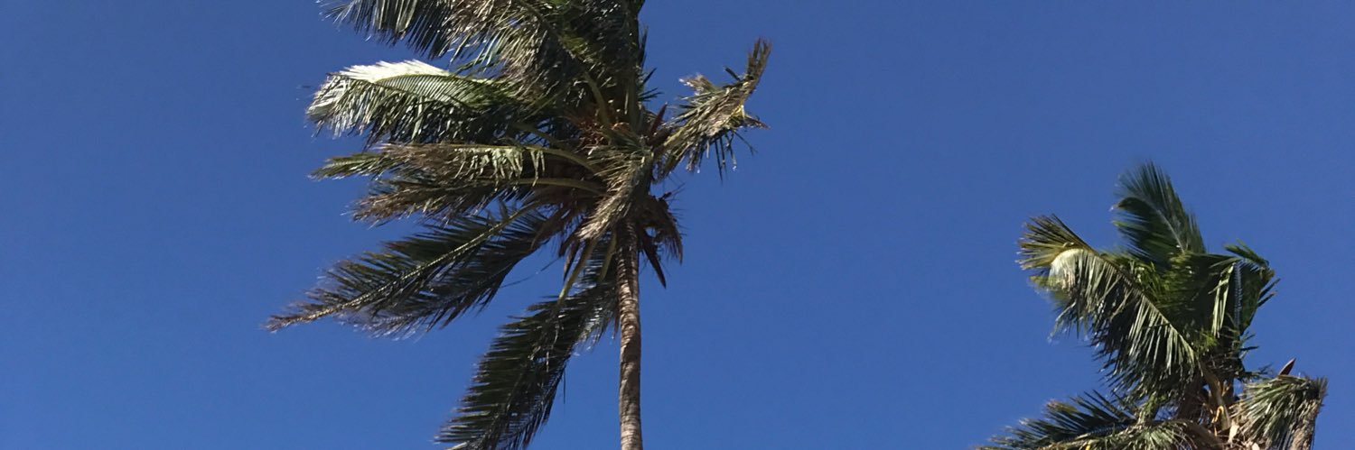 Donate Puerto Rico banner