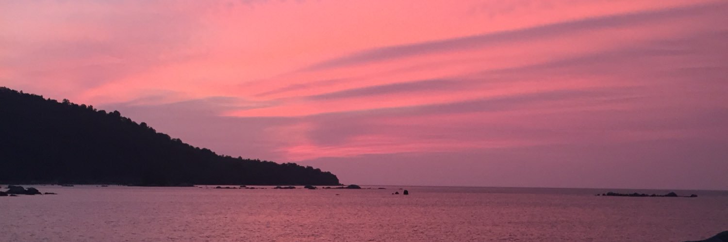 syareefaa's profile banner image