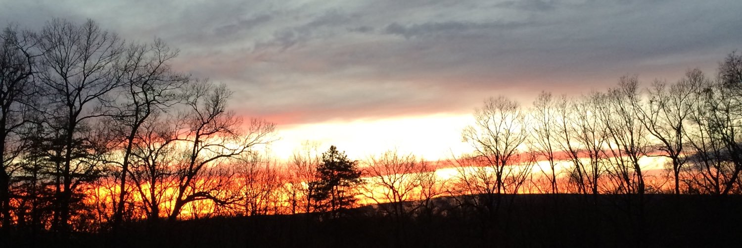 CarsonRaines1's profile banner image