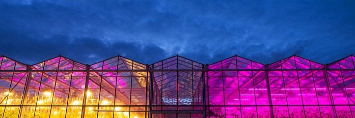 Marco Snikkers banner