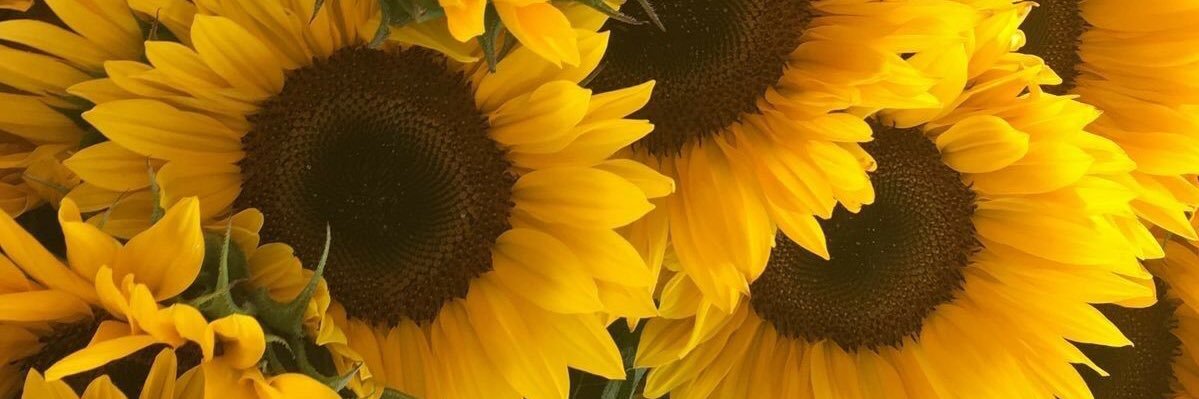 whoodaaa_'s profile banner image