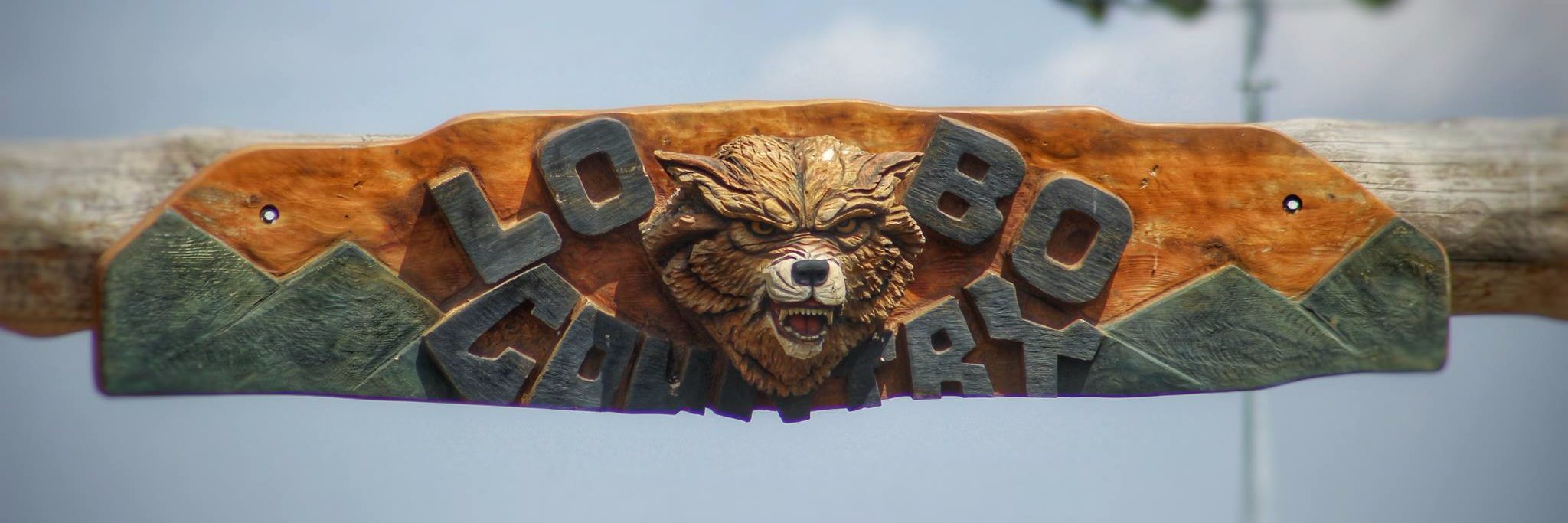 Conifer High School banner