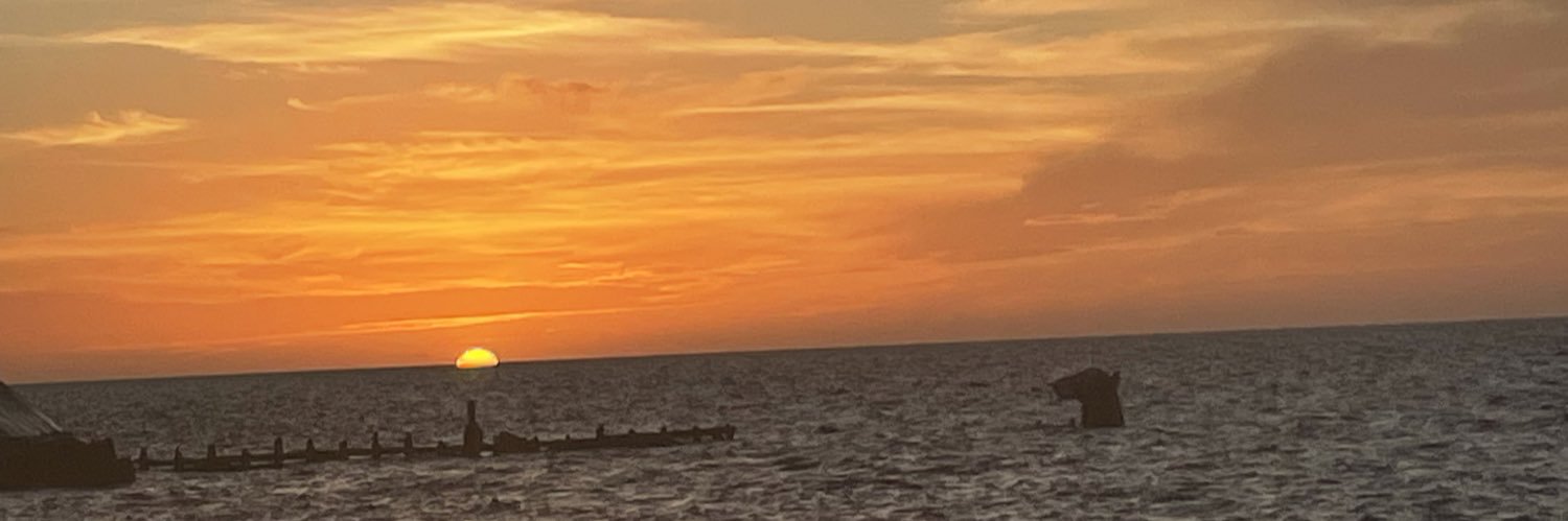 FerTapia2809's profile banner image