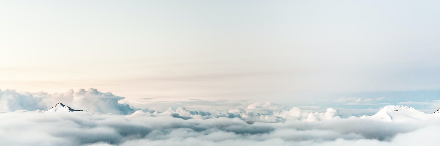 Spas Poptchev banner