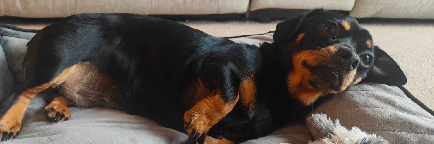 Amanda Sutton banner