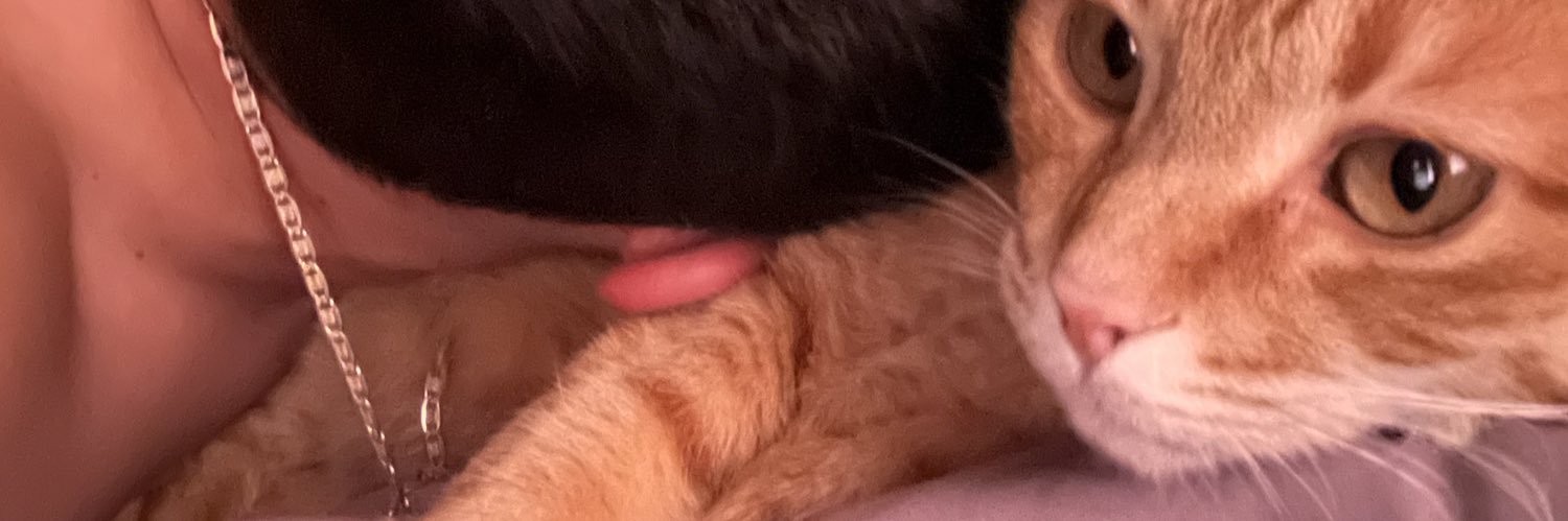 SoyYoPac0's profile banner image