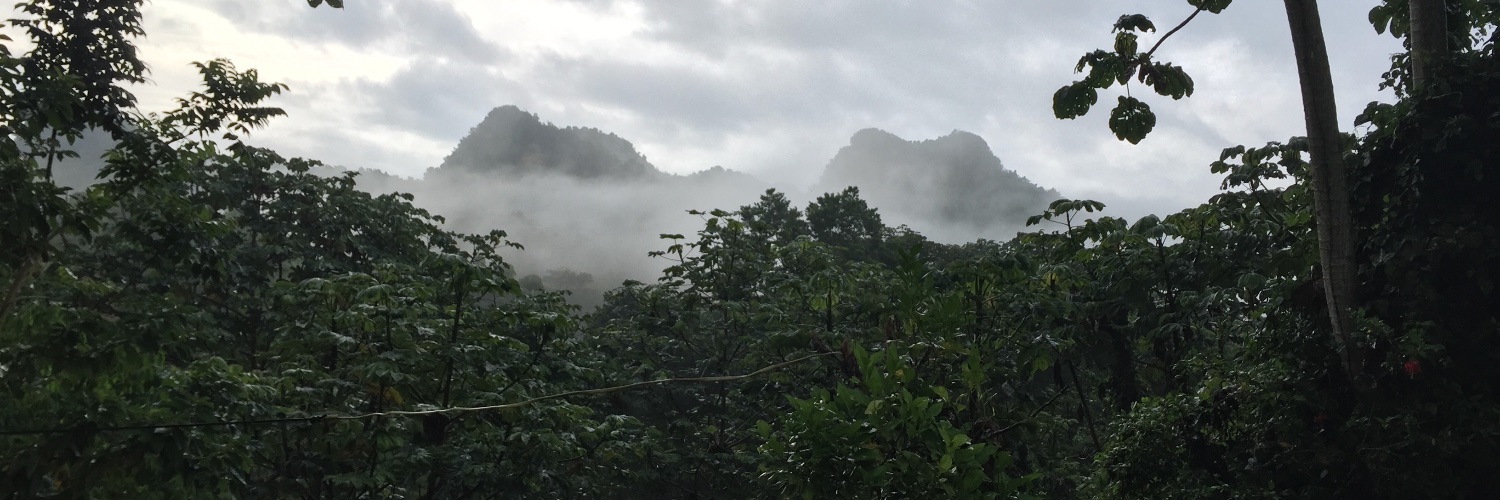 Boricua🇵🇷 banner
