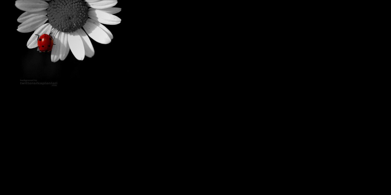 EnUnluSozler's profile banner image