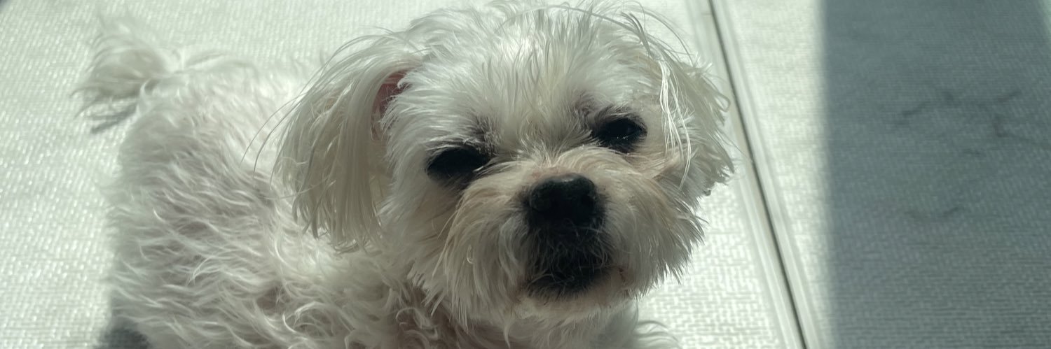 Gokkkki's profile banner image