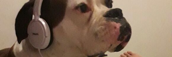 Teo banner