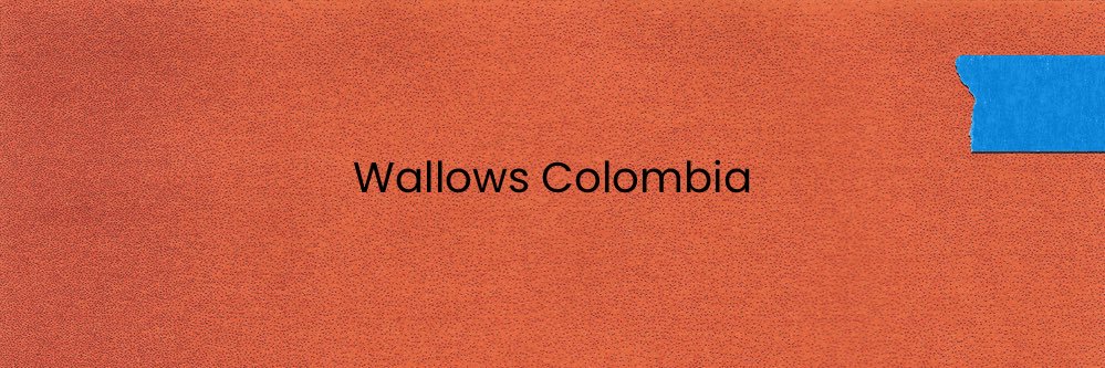 Wallows Colombia 🇨🇴 banner
