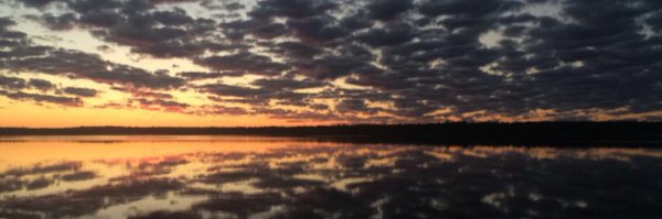 Benholbert09 Profile Banner