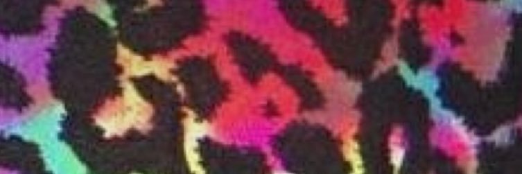 Wendy Storer banner