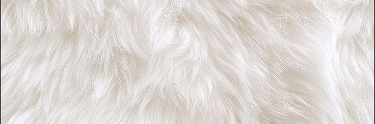 angylisha's profile banner image